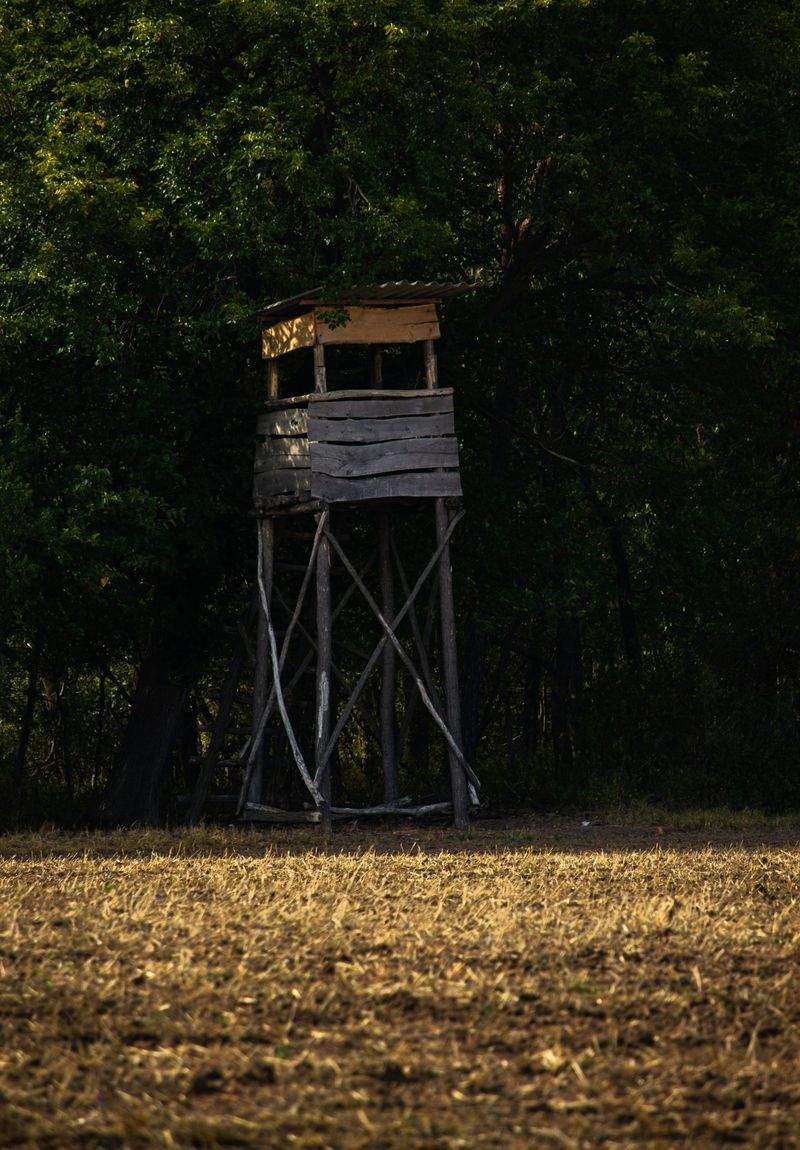 Sådan kommer du i gang med keramik derhjemme