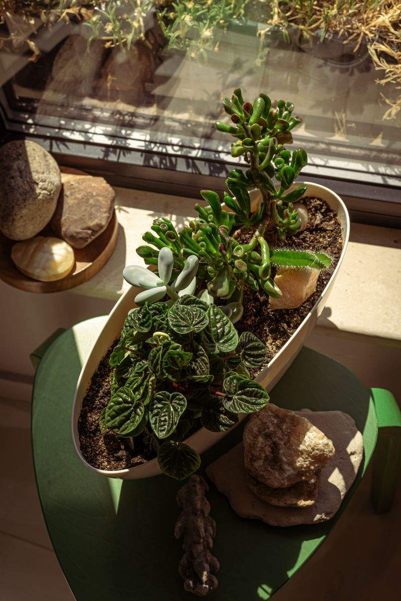 Introduktion til scrapbooking: Skab minder på en unik måde